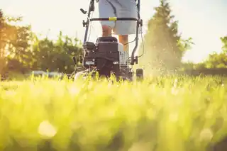 Dethatching e fertilização de gramado